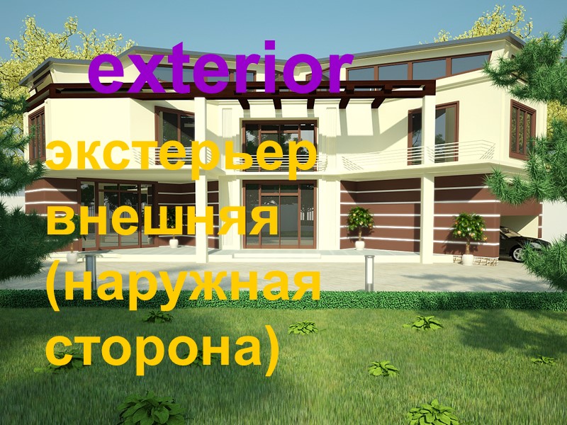 exterior экстерьер внешняя (наружная сторона)